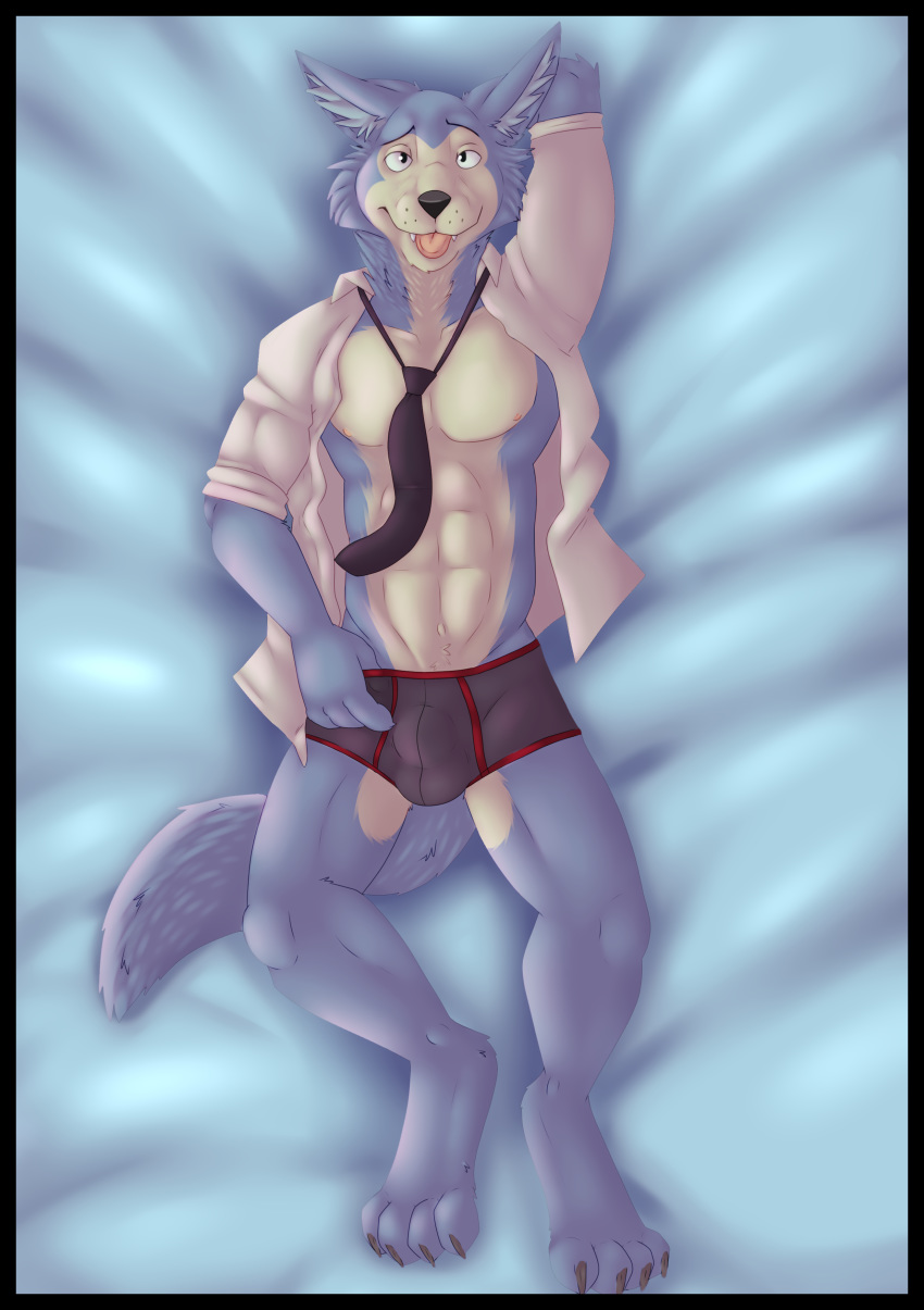 abs absurd_res anthro beastars bulge canid canine canis clothed clothing dakimakura_design hi_res legoshi_(beastars) male mammal muscular muscular_male necktie open_shirt pecs pinup pose pukaa shirt solo tongue tongue_out topwear underwear wolf