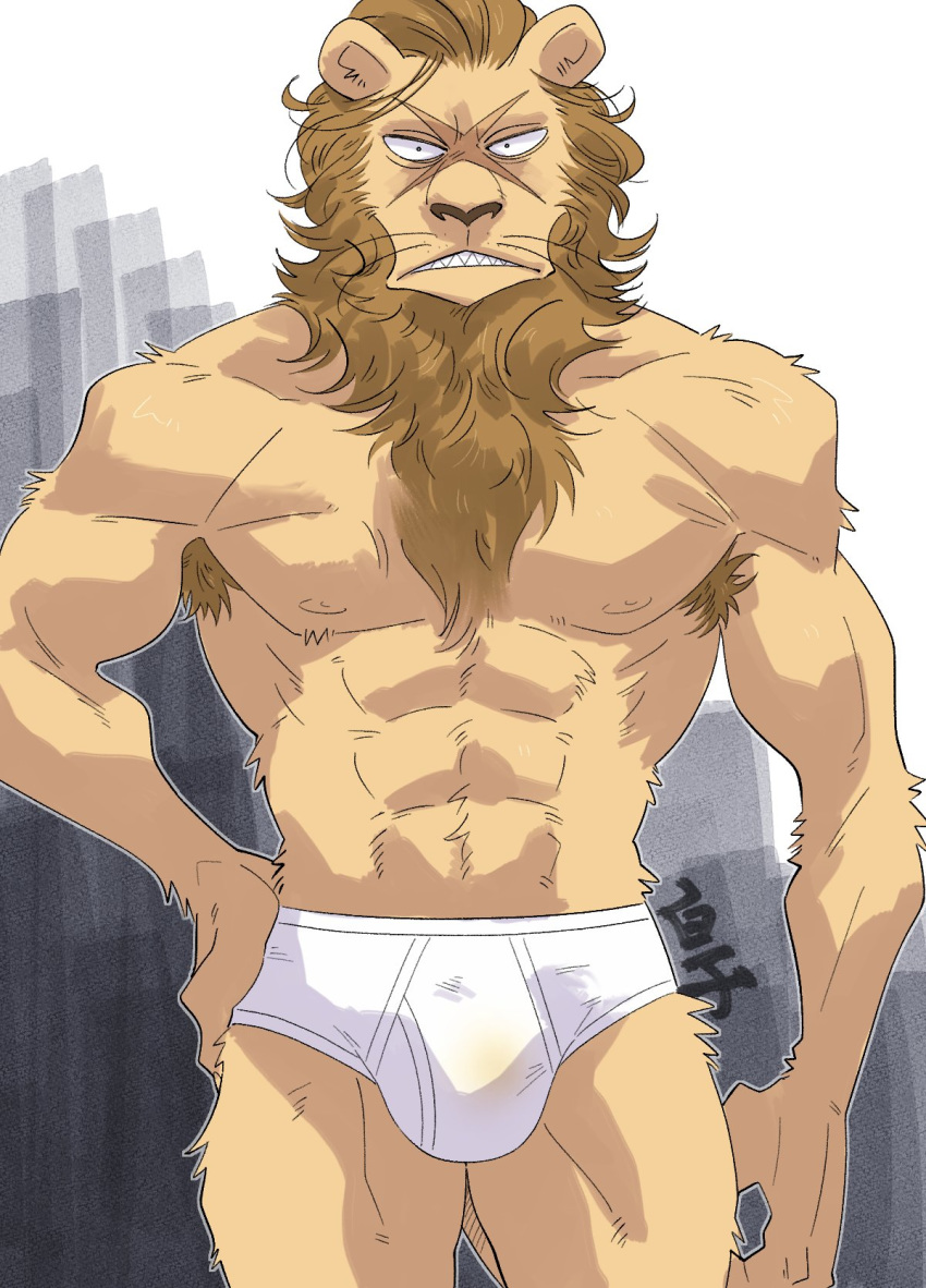 anthro armpit_hair beastars biped body_hair briefs brown_body brown_fur brown_hair brown_mane bulge clothed clothing dolph_(beastars) facial_scar felid fur hair hand_on_hip hi_res lion male mammal mane mane_hair muscular muscular_male nipples pantherine scar sharp_teeth shirako signature solo teeth topless underwear whiskers white_clothing white_underwear x_scar