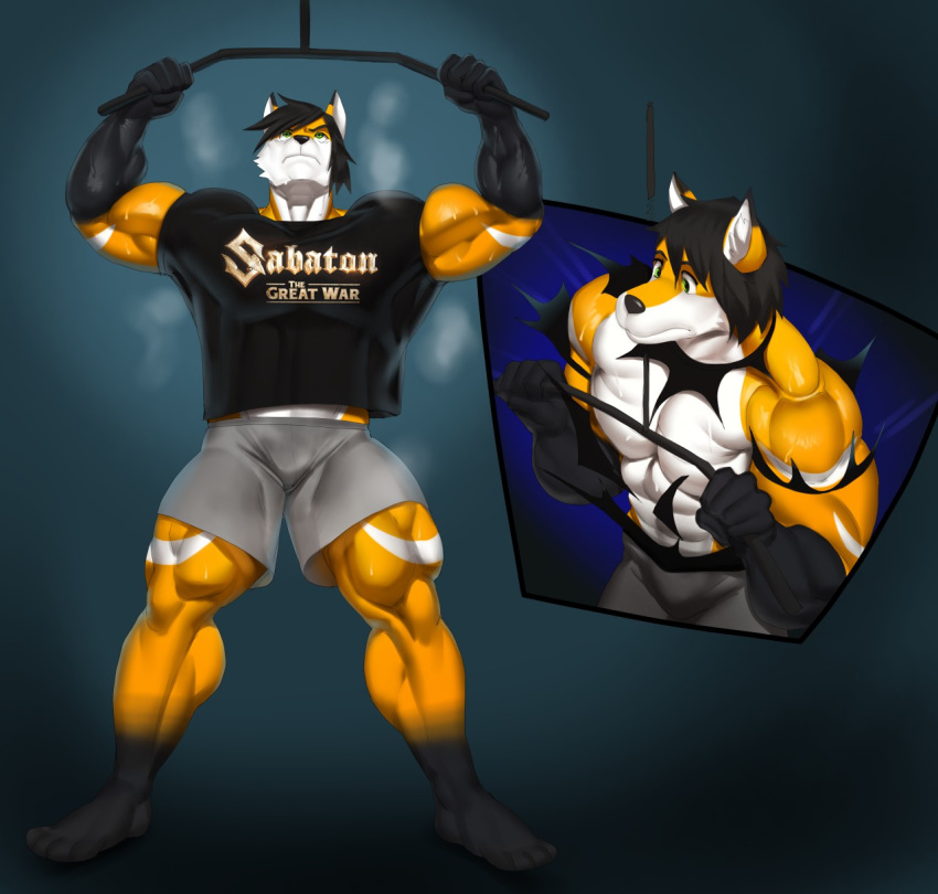 abs anthro biceps bodily_fluids canid canine clothed clothing flexing fox hair hi_res james_wilde_(james-wild) justmegabenewell male mammal muscular muscular_male musk pecs ripping_clothing sabaton_(band) solo sweat training_weights