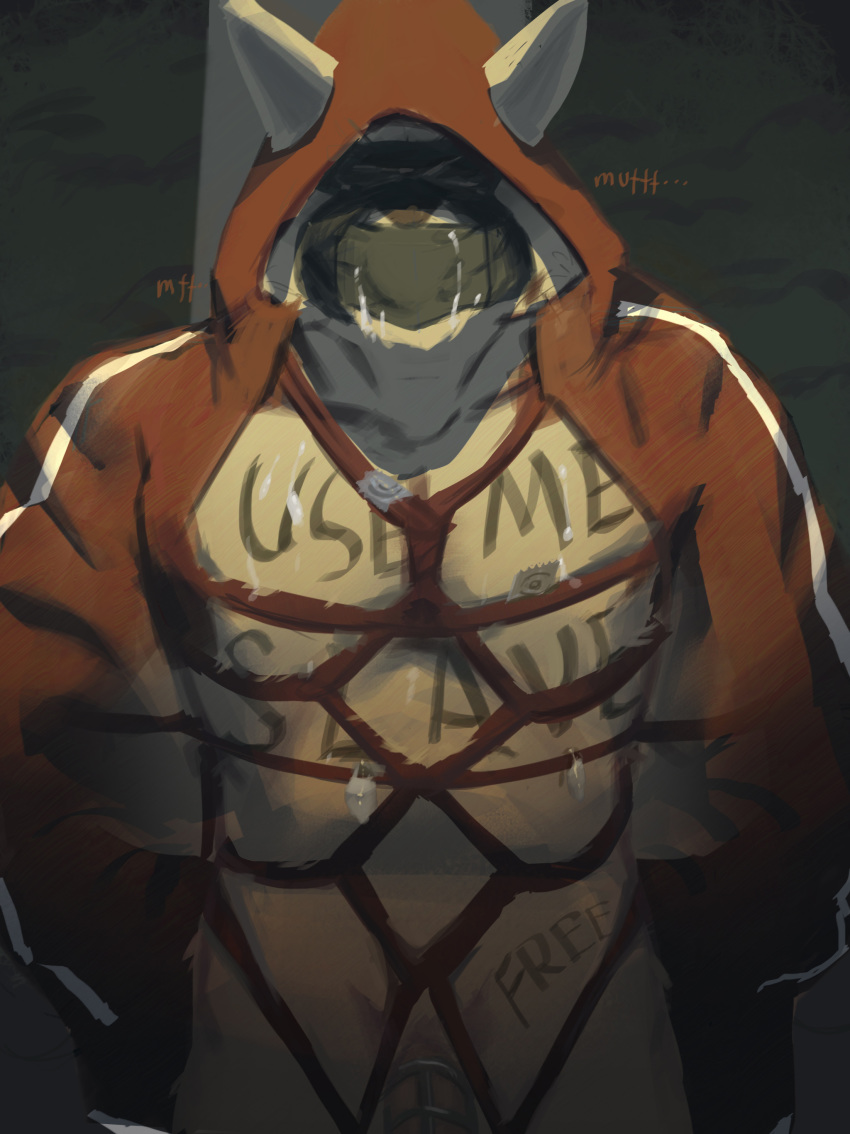 absurd_res anthro body_writing bound chastity_cage chastity_device clothing gag hi_res hoodie lourkanda male mask public solo topwear