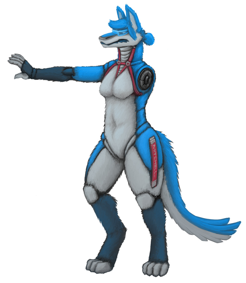 2018 4_toes 5_fingers alpha_channel amputee anthro barefoot biped blue_body blue_eyes blue_fur breasts canid canine cheek_tuft countershade_torso countershading digital_media_(artwork) digital_painting_(artwork) disability facial_tuft featureless_breasts female fingers fluffy fluffy_tail fur grey_body grey_countershading grey_fur head_tuft hi_res leia_mitchell_(verkele) long_tail looking_away machine mammal markings multicolored_body multicolored_fur nude paws robot side_view simple_background small_breasts solo standing text three-quarter_view toes transparent_background tuft verkele visor