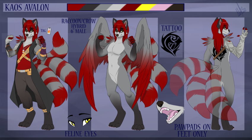 anthro eyebrows eyelashes feathered_wings feathers hair hi_res male model_sheet multi_tail red_body red_feathers red_hair solo wings wolflady