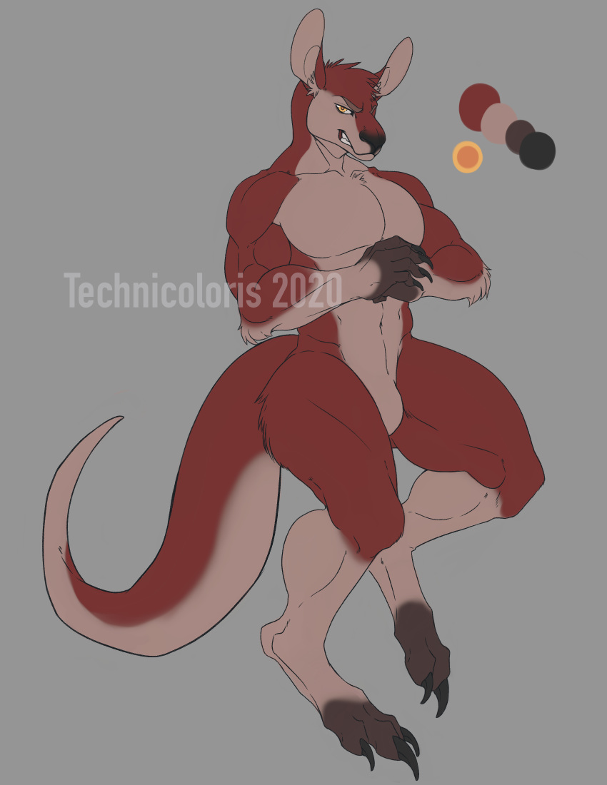 absurd_res angry anthro hi_res kangaroo macropod male mammal marsupial muscular muscular_male solo technicoloris thick_thighs wallaby