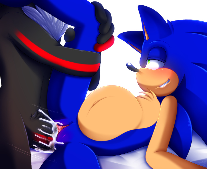 andromorph anthro blush bodily_fluids crossgender cum cum_in_pussy cum_inside duo genital_fluids genitals hi_res intersex intersex/male jayaero leg_over_shoulder male nude pregnant pussy shadow_the_hedgehog sonic_the_hedgehog sonic_the_hedgehog_(series) vaginal