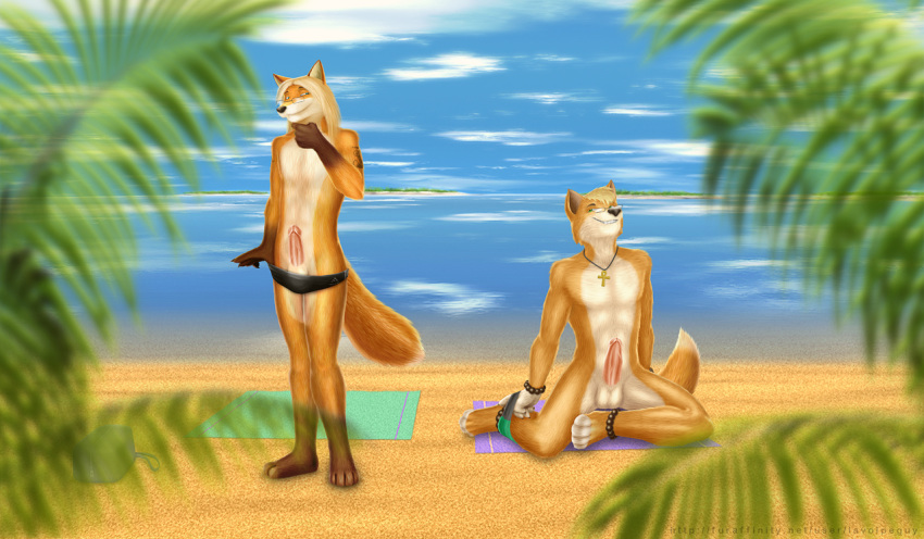 abs ankh anthro balls beach black_nose blue_eyes bracelet brown_body brown_fur canid canine canis clothed clothing detailed_background dingo duo erection eyewear fox fur genitals glasses green_eyes hair humanoid_genitalia humanoid_penis jcfox jewelry la_volpe long_hair luca_dingo male mammal muscular orange_body orange_fur outside penis sand sea seaside skimpy sky smile speedo swimwear tattoo topless underwear water white_body white_fur