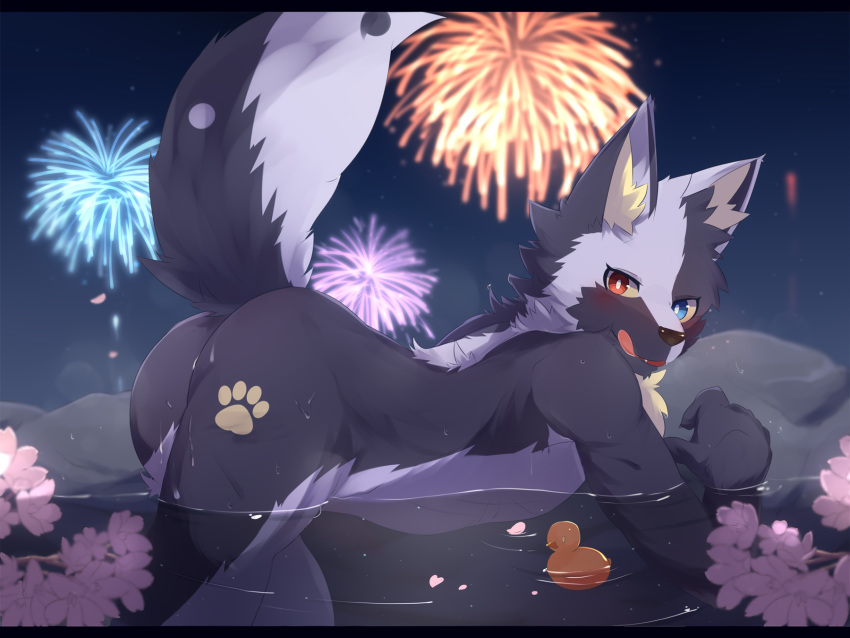 anthro bent_over black_body black_fur black_nose blue_eyes butt butt_markings canid canine cheek_tuft chest_tuft cute_fangs facial_tuft fireworks flower_petals fluffy footprint fox fur head_tuft heterochromia hi_res hot_spring inner_ear_fluff kemono licking licking_lips looking_at_viewer male mammal markings multicolored_body multicolored_fur multicolored_tail nekojita night nude outside partially_submerged pawprint pawprint_marking petals raised_tail red_eyes rubber_duck side_view sky solo tongue tongue_out tuft two_tone_body two_tone_fur water wet white_body white_fur yellow_sclera