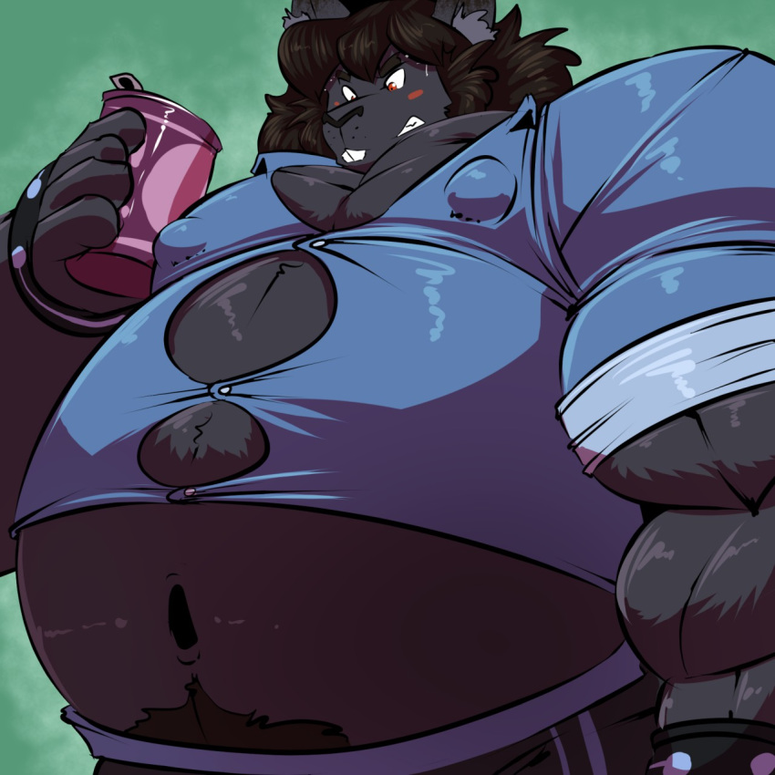 anthro belly beverage_can big_belly black_body black_fur black_hair blush bobert bodily_fluids bottomwear bracelet clothing fur grimacing hair hi_res holding_object imprint jewelry male mammal musclegut muscular navel nipples obese overweight overweight_male pants rodent sciurid shirt solo sweat sweatdrop topwear torn_clothing vincent_(bobert)