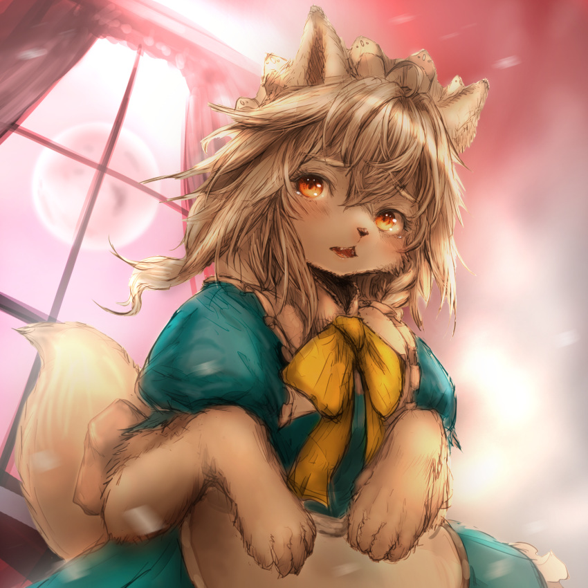 alternate_species anthro apron blush brown_body brown_fur brown_hair canid canine canis clothed clothing domestic_dog dress female full_moon fur furrification hair hawthorn hi_res kemono mammal moon open_mouth sakuya_izayoi solo touhou video_games window yellow_bow