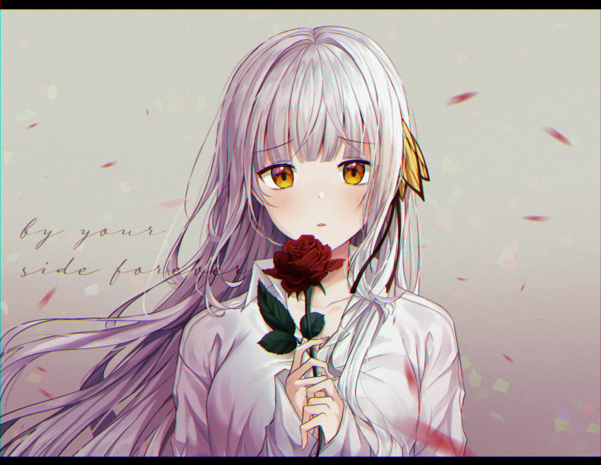 1girl bangs blush breasts brown_eyes cleavage collarbone collared_shirt commentary_request english_text eyebrows_visible_through_hair floating_hair flower grey_background grey_hair hands_together hands_up highres holding holding_flower letterboxed long_fingers long_hair long_sleeves looking_at_viewer medium_breasts miyo_(user_zdsp7735) original own_hands_together parted_lips petals red_flower red_rose rose shirt sleeves_past_wrists solo white_shirt