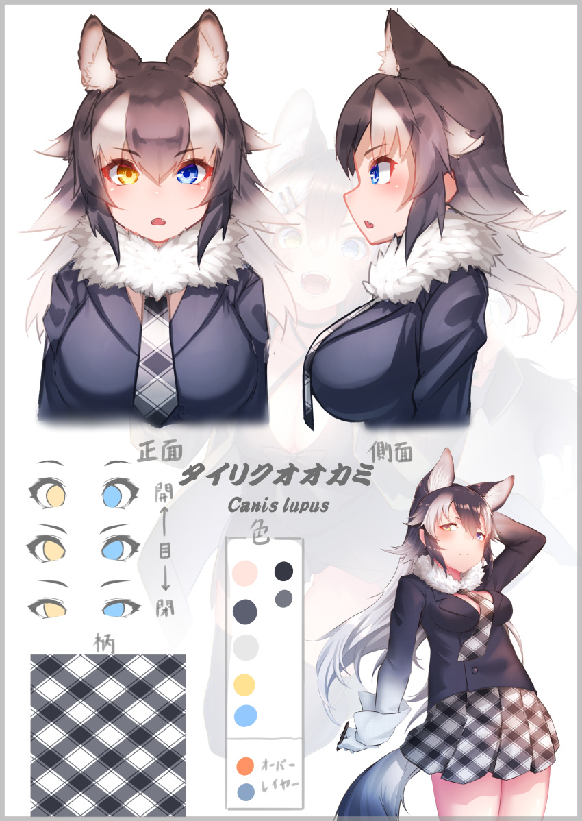 1girl absurdres animal_ears blue_eyes character_sheet color_guide cowboy_shot extra_ears fangs fur_collar gloves grey_hair grey_wolf_(kemono_friends) heterochromia highres kemono_friends long_sleeves multicolored_hair multiple_views navy_blue_jacket necktie open_mouth plaid plaid_neckwear plaid_skirt pleated_skirt short_hair skirt st.takuma tail translation_request upper_body white_gloves white_hair wolf_ears wolf_girl wolf_tail yellow_eyes