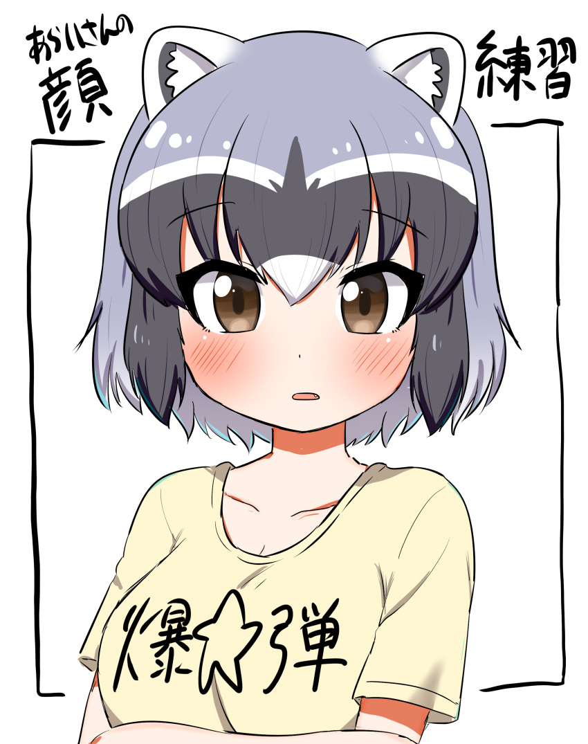 1girl absurdres animal_ears bangs black_border blush border brown_eyes clothes_writing commentary common_raccoon_(kemono_friends) eyebrows_visible_through_hair fang grey_hair highres kemono_friends looking_at_viewer multicolored_hair ngetyan parted_lips raccoon_ears shirt short_hair short_sleeves solo t-shirt translated upper_body yellow_shirt