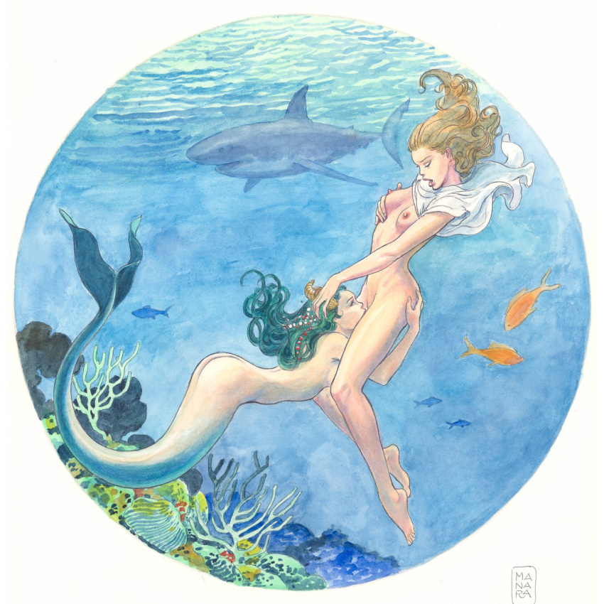 1:1 anthozoan blonde_hair breasts clothing cnidarian coral cunnilingus duo female female/female female_on_humanoid fish green_hair hair head_grab hi_res holding_breast human human_on_humanoid humanoid interspecies looking_pleasured mammal marine merfolk milo_manara mostly_nude nipples nude open_mouth oral pillarbox sex shark traditional_media_(artwork) underwater underwater_sex vaginal water