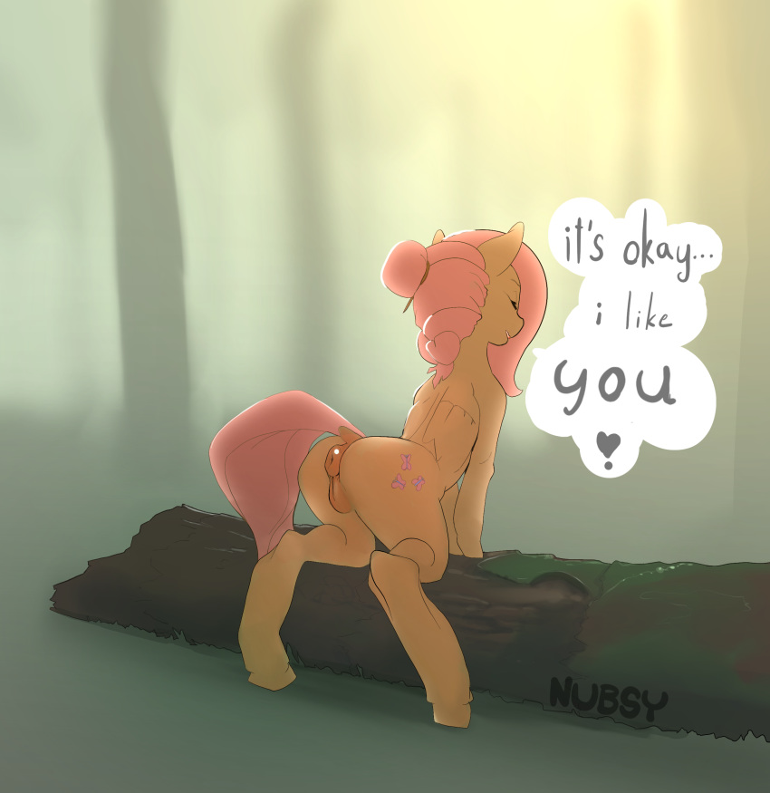 absurd_res anatomically_correct animal_genitalia animal_pussy anus english_text equine_pussy female feral fluttershy_(mlp) friendship_is_magic genitals hi_res my_little_pony nubsy pussy solo text