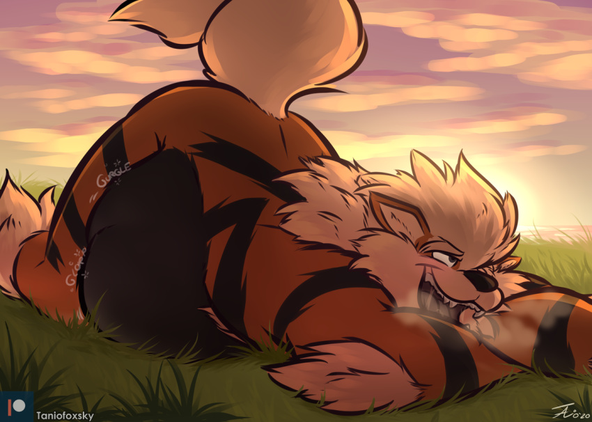 abdominal_bulge after_vore ambiguous_gender ambiguous_prey anthro arcanine ass_up canid canine digestion grass lying male male_pred mammal nintendo on_front open_mouth outside pok&eacute;mon pok&eacute;mon_(species) predator/prey rumbling_stomach sunset tanio unseen_character video_games vore