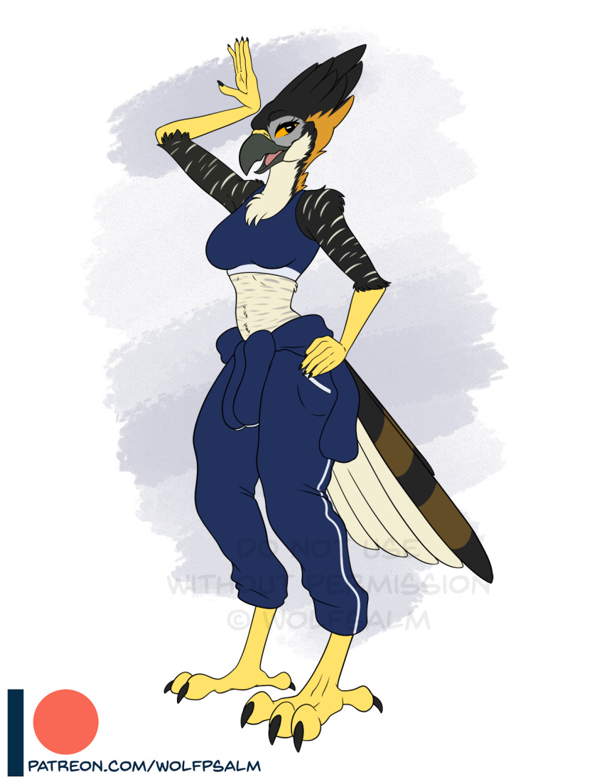 2020 anthro avian barefoot bird claws clothed clothing falcon falconid feet female hi_res mechanic sketch solo talons text toes url wolfpsalm