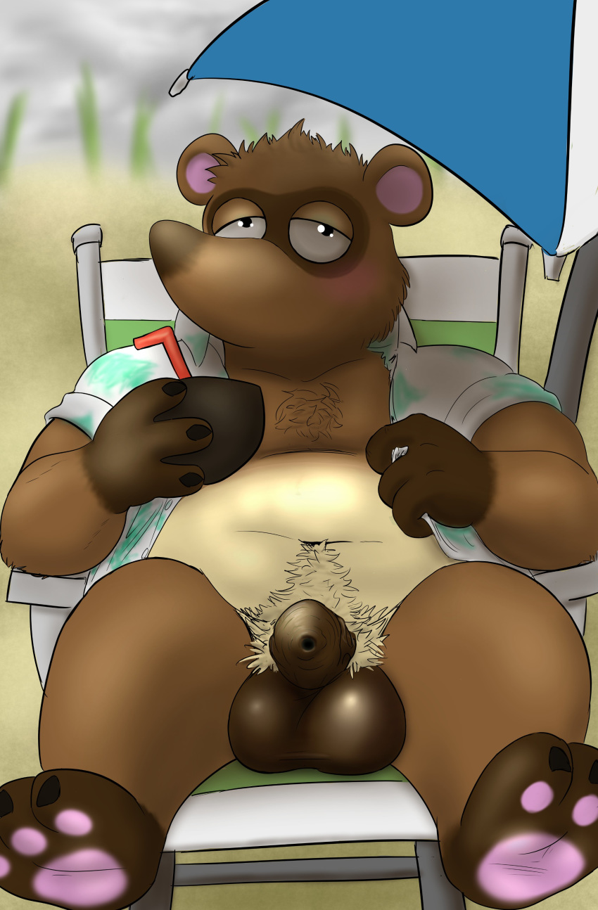 2020 absurd_res animal_crossing anthro balls beach blush brown_body brown_fur canid canine clothing flaccid fur genitals hi_res humanoid_hands male mammal nintendo outside overweight overweight_male penis raccoon_dog seaside shirt sitting solo spikysketches tanuki tom_nook_(animal_crossing) topwear video_games