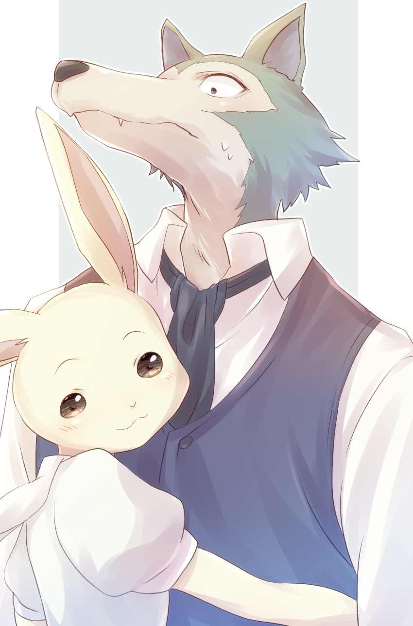 2019 absurd_res anthro beastars blue_clothing blue_topwear canid canine canis chocogabu clothed clothing duo fur fur_tuft haru_(beastars) hi_res lagomorph legoshi_(beastars) leporid mammal rabbit topwear tuft white_clothing white_topwear wolf