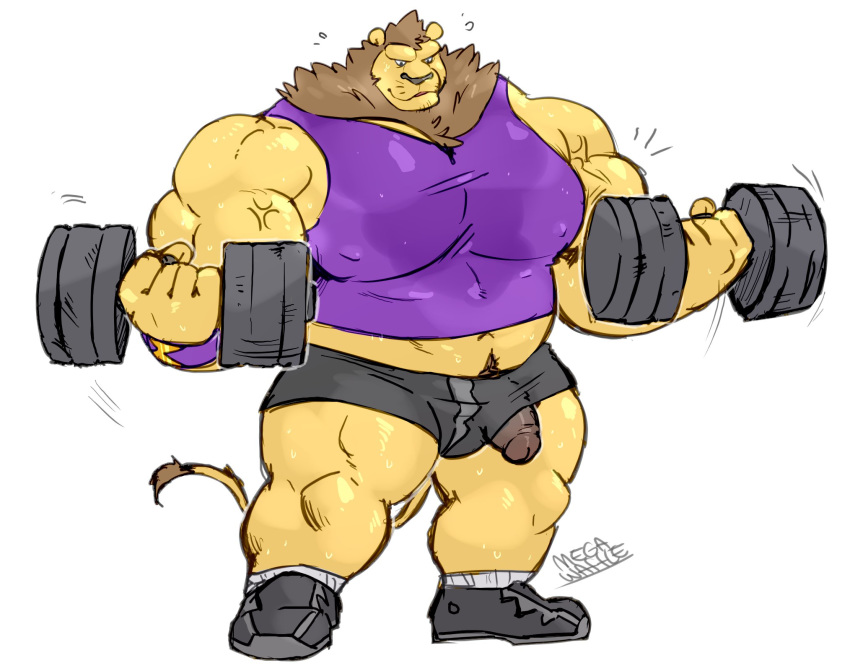 2020 5_fingers anthro biceps big_muscles black_nose bottomwear brown_hair clothing duke_(megawaffle) dumbbell exercise felid fingers footwear fur genitals hair hi_res huge_muscles humanoid_genitalia humanoid_hands humanoid_penis lion male mammal mane megawaffle_(artist) muscular muscular_male nipple_outline nipples pantherine pecs penis penis_through_leghole plantigrade poking_out quads shirt shoes shorts simple_background sneakers solo stubble tank_top tight_clothing topwear weightlifting weights whiskers white_background workout yellow_body yellow_fur
