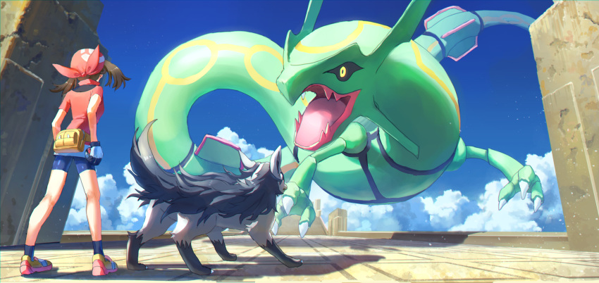 clouds haruka_(pokemon) mightyena pippi_(p3i2) pokemon rayquaza