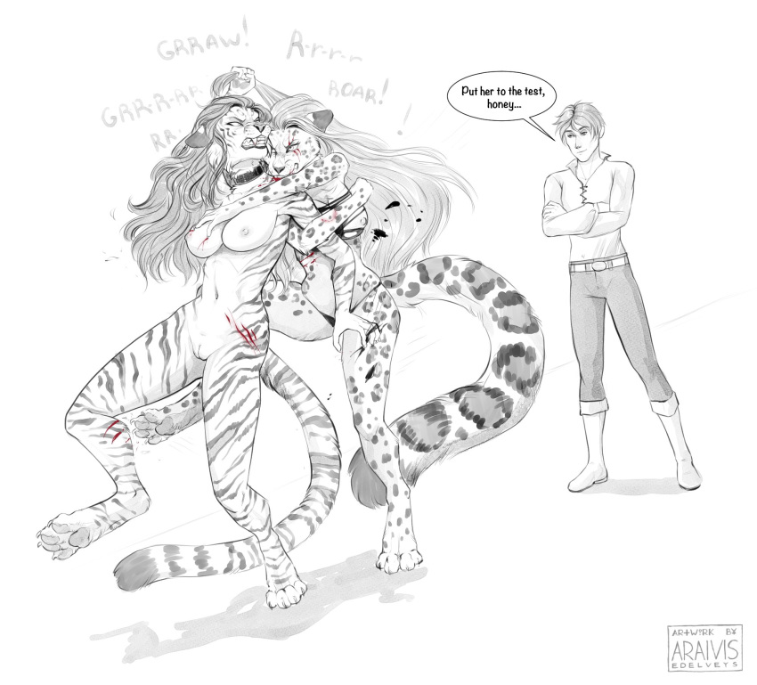 2020 4_toes 5_fingers araivis-edelveys areola bite black_stripes breasts catfight digital_media_(artwork) digitigrade felid female fight fingers fur hair hi_res human leopard male mammal nipples pantherine pulling_hair scratches scratching striped_body striped_fur stripes tiger toes touching_hair