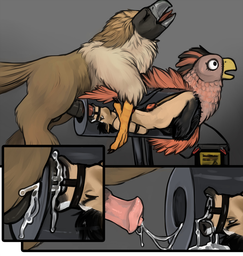 anthro avian bound breeding_mount chastity_cage chastity_device duo equid equine european_mythology feral gag greek_mythology hi_res hippogriff male male/male mammal mythological_avian mythology pasiphae_structure pirate_eagle ring_gag