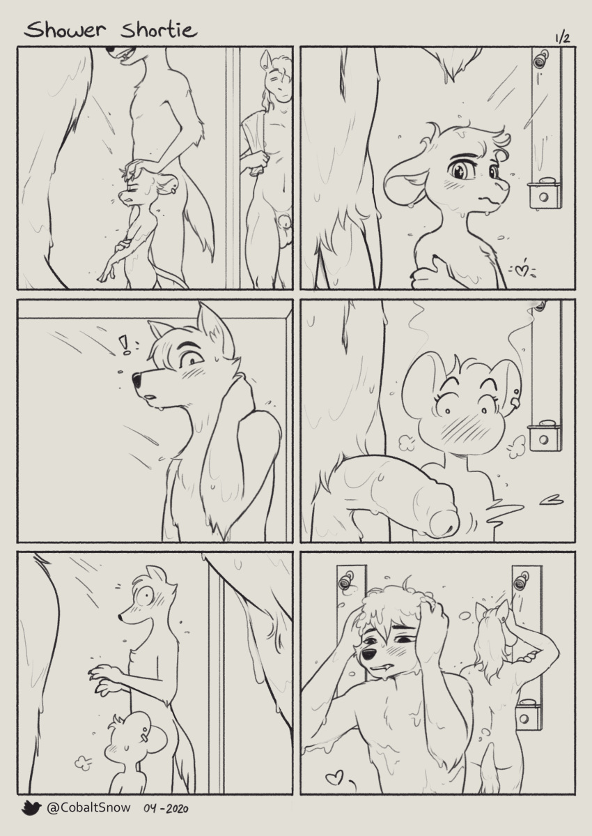 anthro balls canid canine canis caught cobalt_snow comic communal_shower conditional_dnp equid equine erection genitals hi_res horse humanoid_genitalia humanoid_penis male male/male mammal mouse murid murine penis rodent shower size_difference wolf