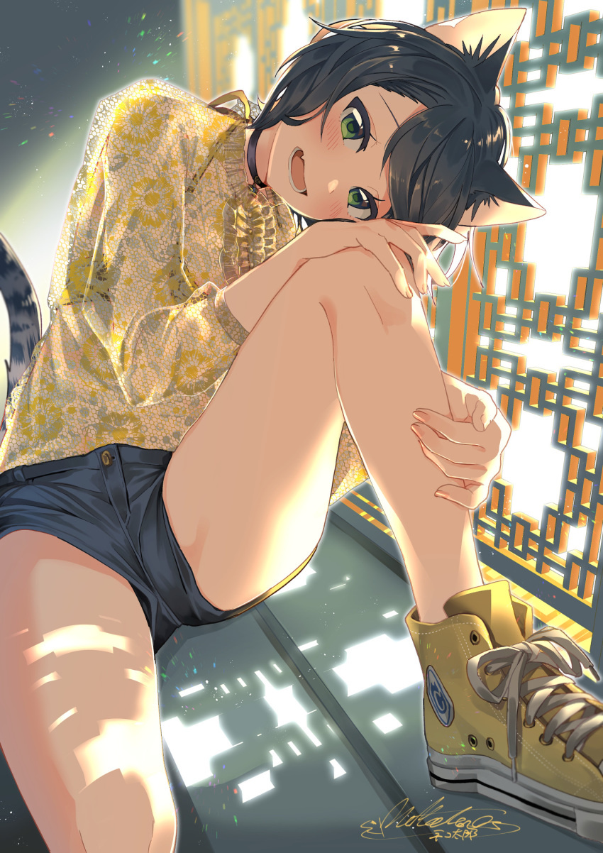 animal_ears black_hair blush cat_ears catulus_syndrome converse fang green_eyes hand_on_leg head_tilt highres open_mouth original see-through shinonome_neko-tarou shoelaces shoes short_shorts shorts signature sneakers yellow_footwear