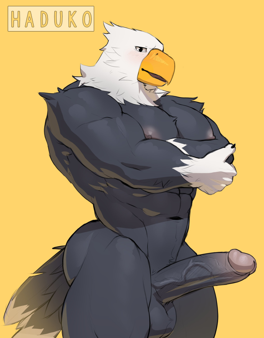 2020 absurd_res animal_crossing anthro apollo_(animal_crossing) avian erection genitals haduko1 hi_res male muscular muscular_male navel nintendo pecs penis simple_background standing video_games