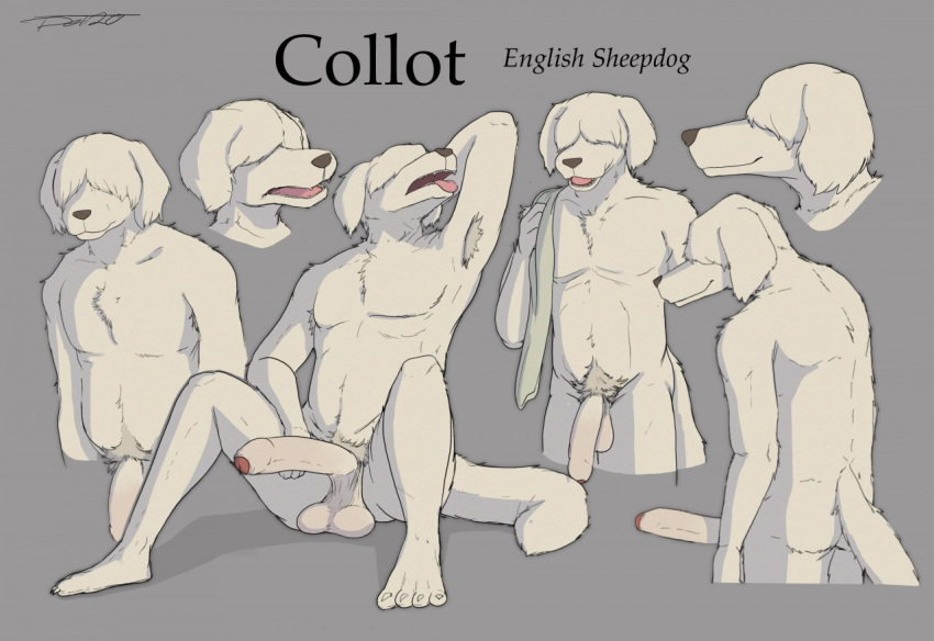 anthro armpit_hair balls beastars big_penis body_hair canid canine canis chest_tuft collot_(beastars) delirost domestic_dog erection foreskin fur genitals hair hair_over_eyes herding_dog humanoid_genitalia humanoid_penis male mammal nude old_english_sheepdog pastoral_dog penis pubes sheepdog smile solo tongue tongue_out tuft uncut white_body white_fur