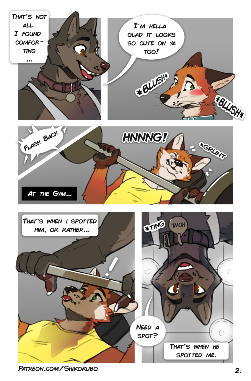 2020 absurd_res anthro blep blush brown_body brown_eyes brown_fur canid canine canis clothing collar comic duo english_text fox fur green_eyes gym hi_res howl_(shikokubo) jasper_(shikokubo) male male/male mammal orange_body orange_fur shikokubo shirt speech_bubble surprise t-shirt tank_top text tongue tongue_out topwear url wolf