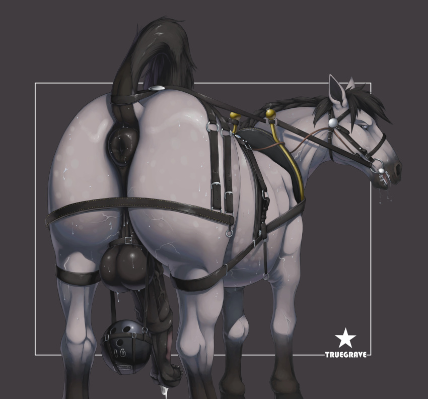 2020 anatomically_correct anatomically_correct_genitalia anatomically_correct_penis animal_genitalia animal_penis annoyed anus ball_stretching balls bdsm black_balls black_hair black_penis black_perineum bodily_fluids bound butt cock_and_ball_torture draft_horse drooling equid equine equine_anus equine_penis erection feral genital_fluids genital_torture genitals grey_body grey_eyes grey_skin hair harness_bit_gag heiken hi_res horse leg_markings looking_back male mammal markings medial_ring penis perineum precum puffy_anus raised_tail saliva simple_background socks_(marking) solo standing sweat truegrave9 vein veiny_penis