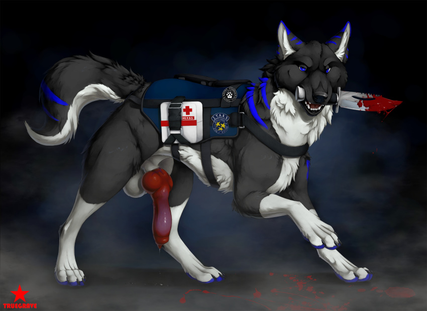 2020 anatomically_correct anatomically_correct_genitalia anatomically_correct_penis animal_genitalia animal_penis balls black_body black_fur black_nose blood blue_body blue_eyes blue_fur bodily_fluids canid canine canine_penis canis erection feral fur genital_fluids genitals hi_res holding_knife holding_object holding_weapon knife knot leg_markings looking_at_viewer male mammal markings multicolored_body multicolored_fur object_in_mouth penis precum red_penis socks_(marking) solo standing truegrave9 two_tone_body two_tone_fur weapon white_body white_fur wolf