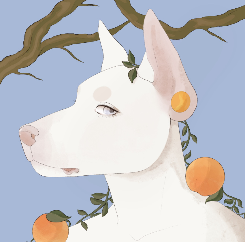 anthro blue_eyes bust_portrait canid canine canis cvlt_stvff doberman_(species) domestic_dog female food fruit hi_res leaf mammal peach_(fruit) plant portrait solo