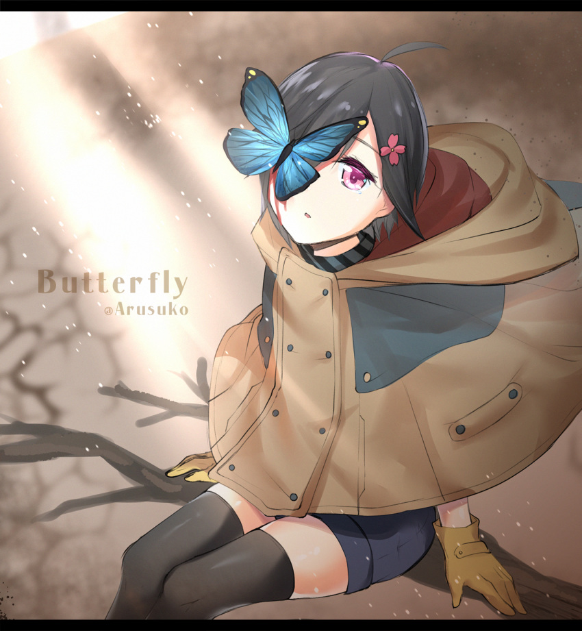 1girl ahoge artist_name arusuko black_hair black_legwear blue_butterfly branch brown_coat coat gloves hair_over_one_eye highres hijiriido_miyo hondoumachi_koharu hood hood_down id_:invaded looking_at_viewer purple_eyes short_hair shorts sitting solo sunlight thighhighs yellow_gloves