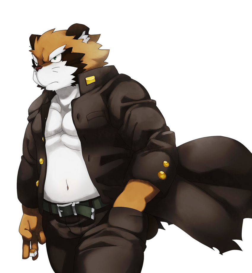 2011 anthro bottomwear brown_body brown_fur canid canine clothing fur hi_res humanoid_hands kemono male mammal nikiciy pants raccoon_dog simple_background slightly_chubby solo tanuki white_background