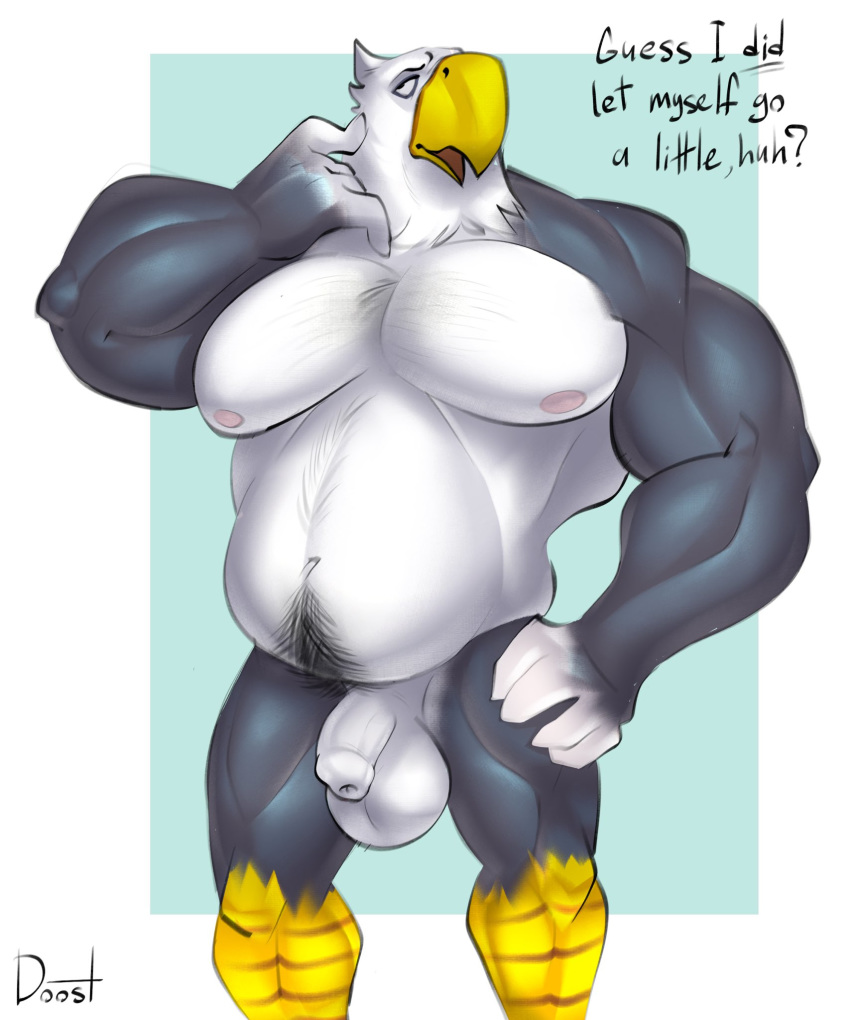 2020 ? accipitrid accipitriform animal_crossing anthro apollo_(animal_crossing) avian balls beak biceps bird body_hair doost eagle english_text flaccid genitals hi_res male musclegut navel nintendo nipples nude pecs penis solo stomach_hair text uncut video_games