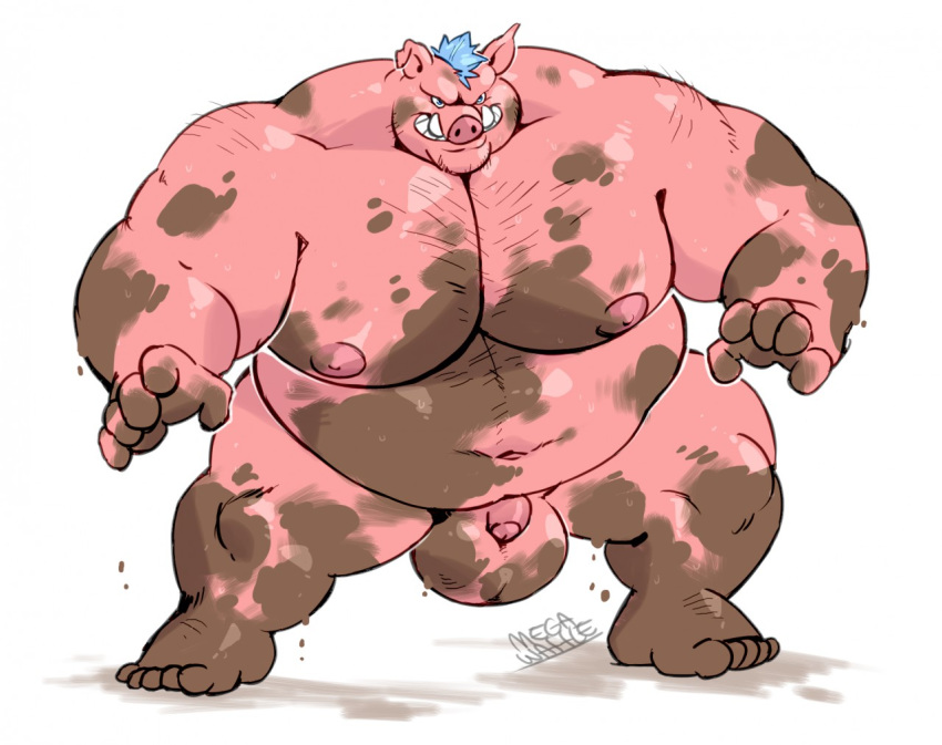 anthro balls big_balls domestic_pig genitals male mammal megawaffle_(artist) muddy musclegut nude penis solo suid suina sus_(pig)