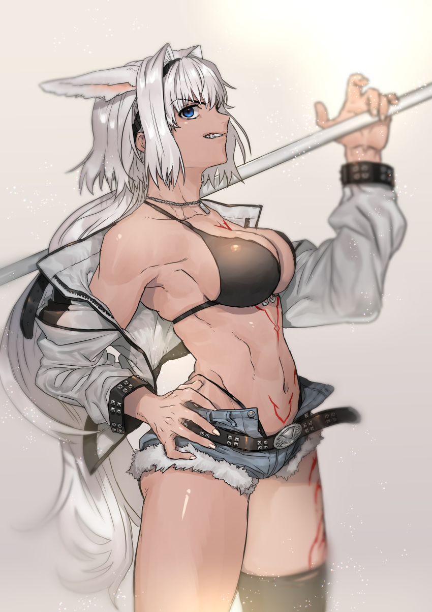 1girl animal_ears bangs bare_shoulders belt bikini black_bikini black_legwear blue_eyes blue_shorts body_markings breasts caenis_(fate) cleavage clenched_teeth collarbone cutoffs dark_skin denim denim_shorts dog_tags fate/grand_order fate_(series) grey_jacket hair_intakes hairband hand_on_hip highres jacket jewelry kmk large_breasts long_hair long_sleeves looking_at_viewer navel necklace off_shoulder open_clothes open_fly open_jacket over_shoulder polearm ponytail short_shorts shorts solo spear swimsuit tattoo teeth thighhighs thighs weapon weapon_over_shoulder