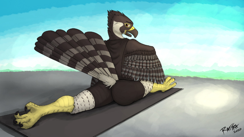 16:9 4_toes anisodactyl anthro apex avian beak bird butt claws clothing falcon falconid feathered_wings feathers looking_back male outside peregrine_falcon rattra shirt solo split stretching tail_feathers tight_clothing toe_claws toes topwear widescreen wings