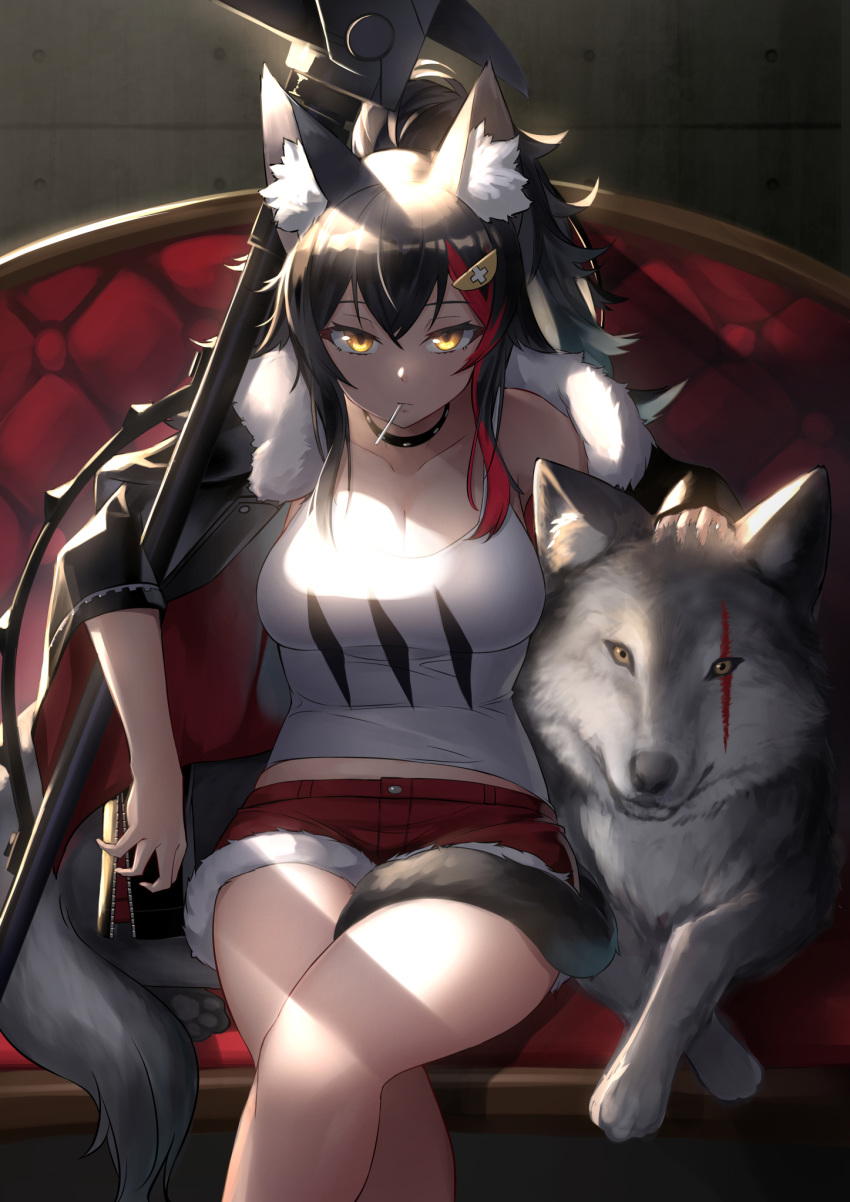 1girl animal_ear_fluff animal_ears arknights bangs bare_shoulders black_choker black_hair black_jacket breasts choker cleavage collarbone commentary_request cosplay couch feet_out_of_frame fur-trimmed_jacket fur-trimmed_shorts fur_trim hair_between_eyes hair_ornament highres hololive jacket long_hair long_sleeves looking_at_viewer medium_breasts midriff_peek mouth_hold multicolored_hair off_shoulder ookami_mio red_hair red_shorts short_shorts shorts siege_(arknights) siege_(arknights)_(cosplay) sitting streaked_hair tank_top thighs virtual_youtuber weapon white_tank_top wolf wolf_ears yamabuki7979 yellow_eyes