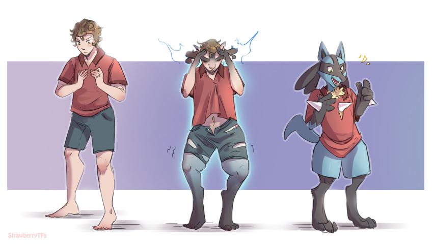 2020 anthro barefoot bottomwear brown_hair clothing digitigrade eyes_closed hair human human_to_anthro lucario male mammal nintendo pok&eacute;mon pok&eacute;mon_(species) sequence shorts shrinking simple_background smile solo species_transformation standing strawberrytfs torn_clothing transformation video_games