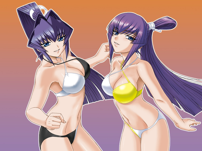 bikini blue_eyes hair_intakes koubuin_yuuhi misnon_the_great mitsurugi_meiya multiple_girls muvluv ponytail purple_hair swimsuit