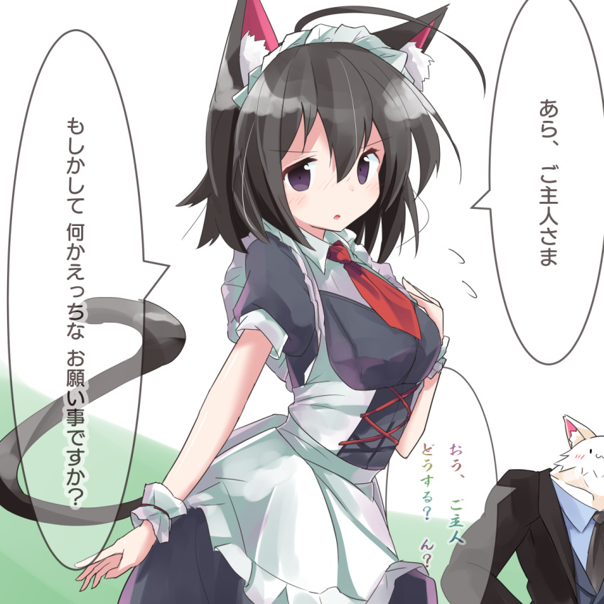 1girl :o animal animal_ear_fluff animal_ears apron bangs black_dress black_hair black_jacket black_neckwear black_vest blue_shirt blush cat_ears cat_girl cat_tail clothed_animal collared_shirt commentary_request dress eyebrows_visible_through_hair flying_sweatdrops formal frilled_apron frills green_background hair_between_eyes highres jacket maid maid_headdress necktie nose_blush open_clothes open_jacket original parted_lips puffy_short_sleeves puffy_sleeves purple_eyes red_neckwear ryogo shirt short_necktie short_sleeves solo_focus suit tail translation_request two-tone_background vest white_apron white_background