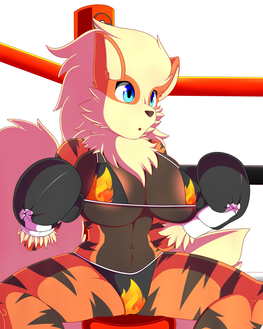 absurd_res anthro anthrofied arcanine areola areola_slip biped blue_eyes boxing boxing_gloves bra breasts canid canine chair clothing female fighting_ring fluffy fluffy_tail front_view fur furniture handwear hi_res mammal markings mlpboxing multicolored_body multicolored_fur navel nintendo nipple_outline open_mouth orange_body orange_fur panties pok&eacute;mon pok&eacute;mon_(species) simple_background sitting solo sport spread_legs spreading stripes underwear video_games white_background