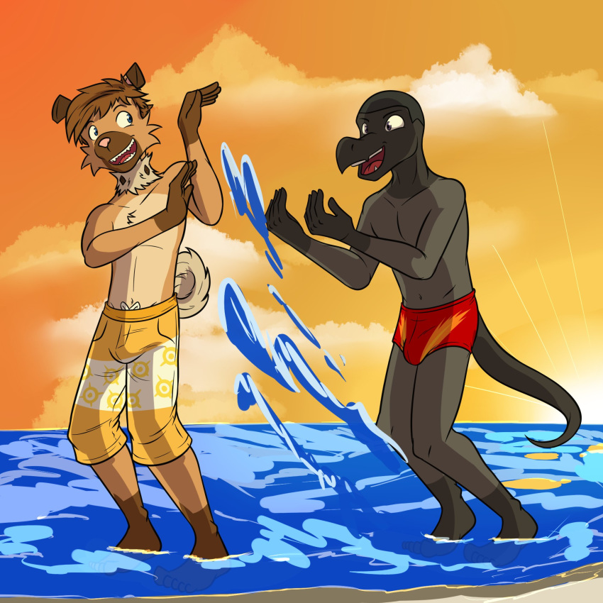 1:1 anthro anthrofied beach bottomwear bulge clothed clothing duo fuze hi_res male nintendo partially_submerged pok&eacute;mon pok&eacute;mon_(species) ricky_(fuze) rockruff salandit sea seaside shorts slick_(fuze) speedo splashing sunset swimwear topless video_games water