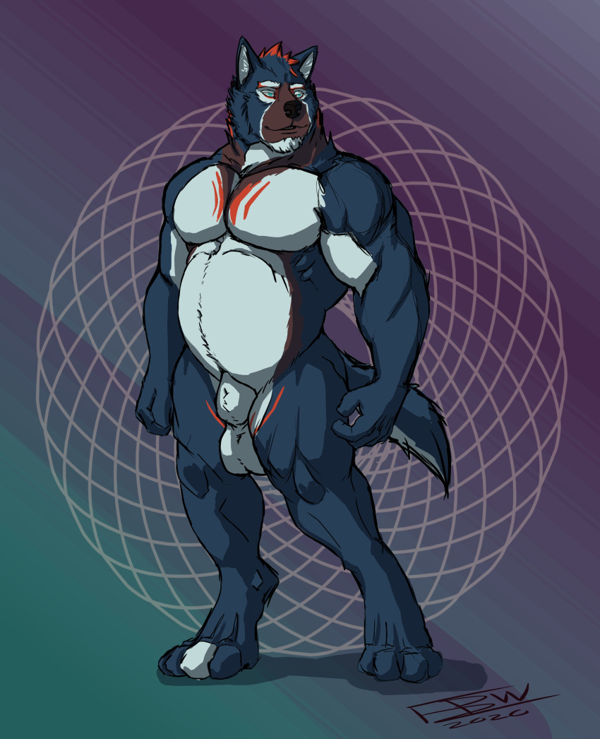 absurd_res animal_genitalia animal_penis anthro balls belly blue_body blue_fur canid canine canine_penis canis detailed_background fullbodywolf fur genitals hair hi_res male mammal markings muscular muscular_male orange_hair pecs penis pose sheath solo standing white_body white_fur wolf ypsilon