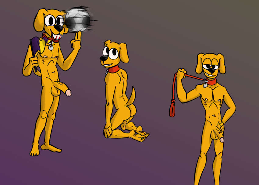 anthro backsack balls big_penis butt canid canine canis collar domestic_dog flaccid fur genitals half-erect hi_res leash leash_pull looking_at_viewer male mammal microsoft microsoft_windows multiple_poses penis pose rover_(office_assistant) simple_background solo t6ktal windows_xp yellow_body yellow_fur