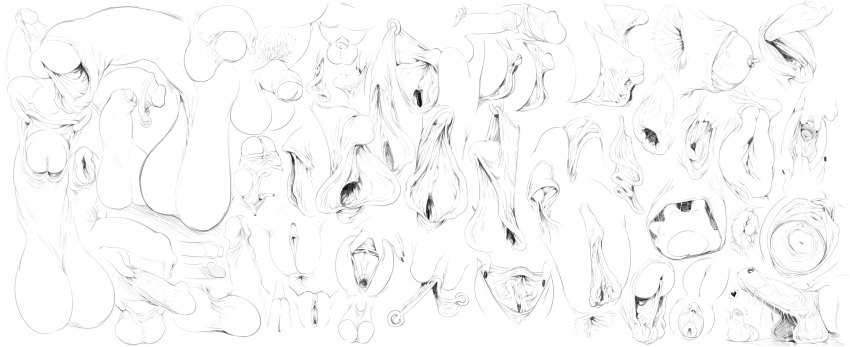 balls cervix clitoral_hood clitoris female foreskin genital_piercing genitals hi_res labia_piercing male monochrome not_furry penis piercing pussy pussy_piercing sketch_page spread_pussy spreading sunibee