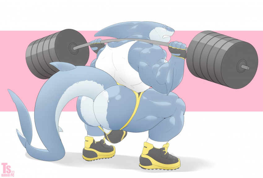 2020 anthro barazoku biceps big_butt big_tail black_clothing blue_body blue_skin bulge butt clenched_teeth clothing digital_media_(artwork) exercise fin fish footwear handwear head_fin jockstrap legwear male marine shark shirt shoes simple_background socks solo tail_fin tank_top teeth thick_thighs topwear tylerstark underwear weightlifting workout yellow_clothing