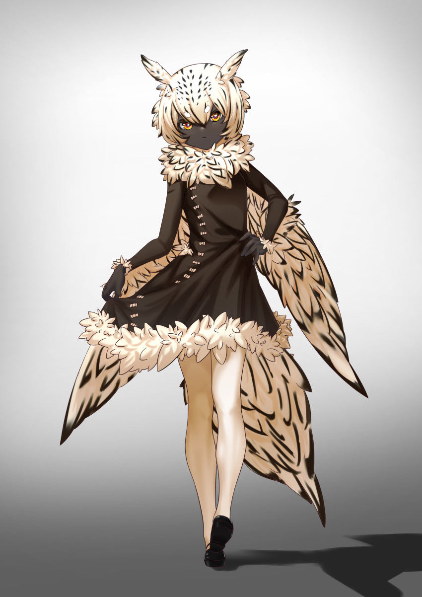 absurd_res amber_eyes animal_humanoid avian avian_humanoid black_body black_feathers black_hair clothed clothing feathers female fingers footwear hair hi_res humanoid looking_at_viewer multicolored_body multicolored_feathers multicolored_hair neck_tuft shadow shino4815 shoes short_hair solo tuft walking white_body white_feathers white_hair
